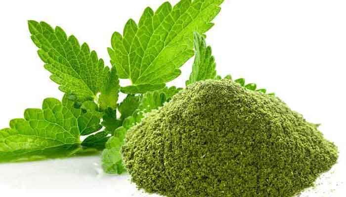 Podina Powder Mint Leaves Powder Mentha Arvensis Podina Herbs Powder