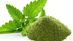 Podina Powder Mint Leaves Powder Mentha Arvensis Podina Herbs Powder
