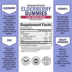 BioSchwartz Elderberry Gummies with Zinc and 60 Count (Pack of 1), Berry