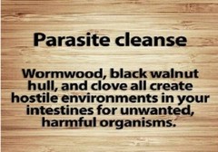 parasite supplement – ANTI PARASITE COMPLEX 1500MG 1B – apple pectin capsules or