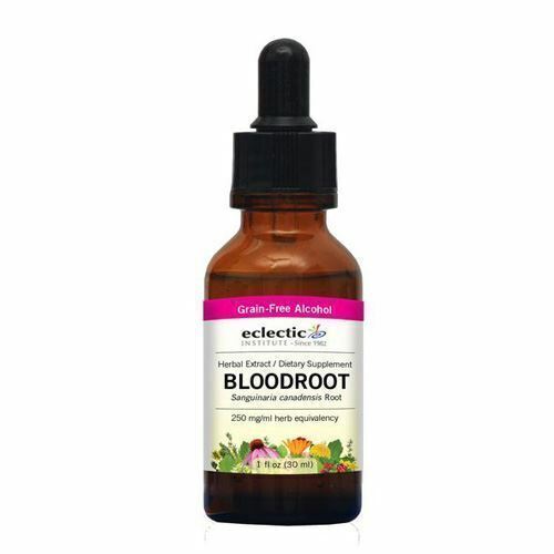 Bloodroot 2 Oz with Alcohol By Eclectic Herb