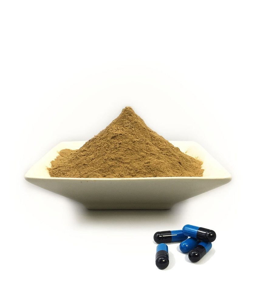 California Poppy Extract 50:1 – 500mg Capsules x 30 Count – Free Sample!!! – A+