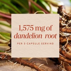 Dandelion Root Capsules, Traditional Diuretic Herb, 1,575 mg Dandelion Root p…