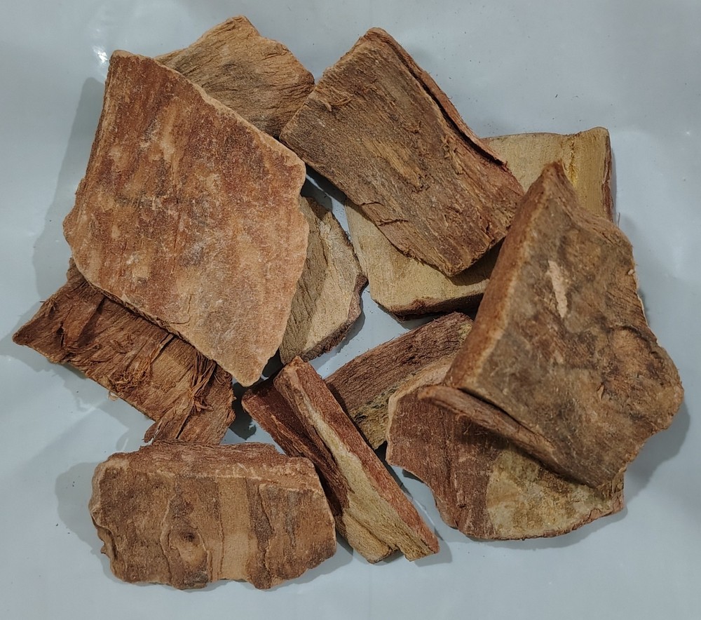 ARJUNA BARK WHOLE Arjuna, Arjun Chaal bark whole FREE SHIP-100gm