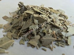Eucalyptus, Eucalyptus globulus, Leaf ~ Schmerbals Herbals