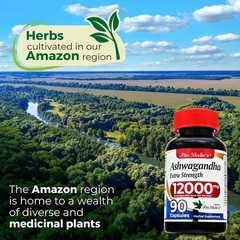 Ashwagandha 12000mg Extra Strength 90 Capsules 20:1 Root Extract