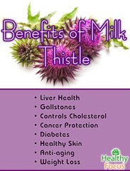 Milk Thistle Tincture Organic & Strong Detox & Heals Liver, Jaundice, Cirrhosis