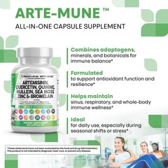 Clean Nutraceuticals Artemisinin Quercetin 60 Count (Pack of 1), Light Brown