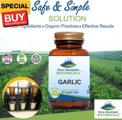 Garlic Pills Kosher Vegan Capsules with 500mg Organic Garlic Allium Sativum Supp