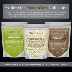 Moringa Seeds Kernel Shelled 16 oz. / 1 lb. – Clean PKM1 Variety – Edible –