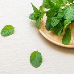 Peppermint Pure Extract Non-alcohol Organic Liquid Herbal Drop Natural 2 FL OZ