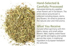 Dried Agrimony Herb – Cut & Sifted – Agrimonia Eupatoria – Herbal Tea Bulk