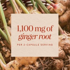 Ginger Root Capsules 1,100 mg – Vegan, Non-GMO, 240 ct for Digestive Comfort & N