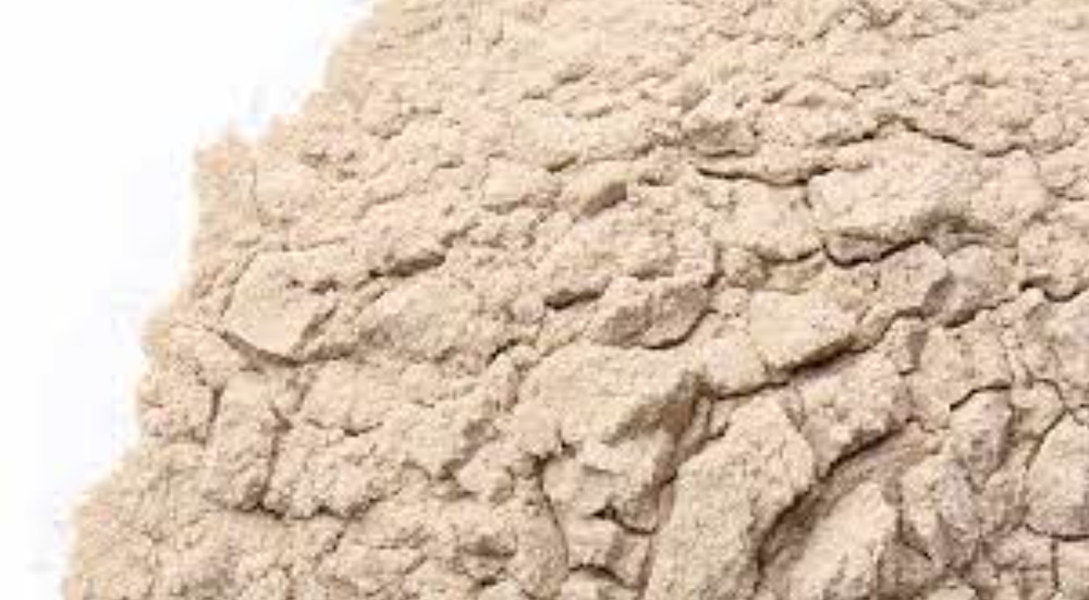 NY Herb Shop Buckthorn Bark Powder | Bulk Wholesale Herbal Supplement