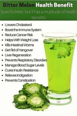 Bitter Melon Tincture Alcohol-Free Extract,Organic Glycerite( 2oz.) 60ml