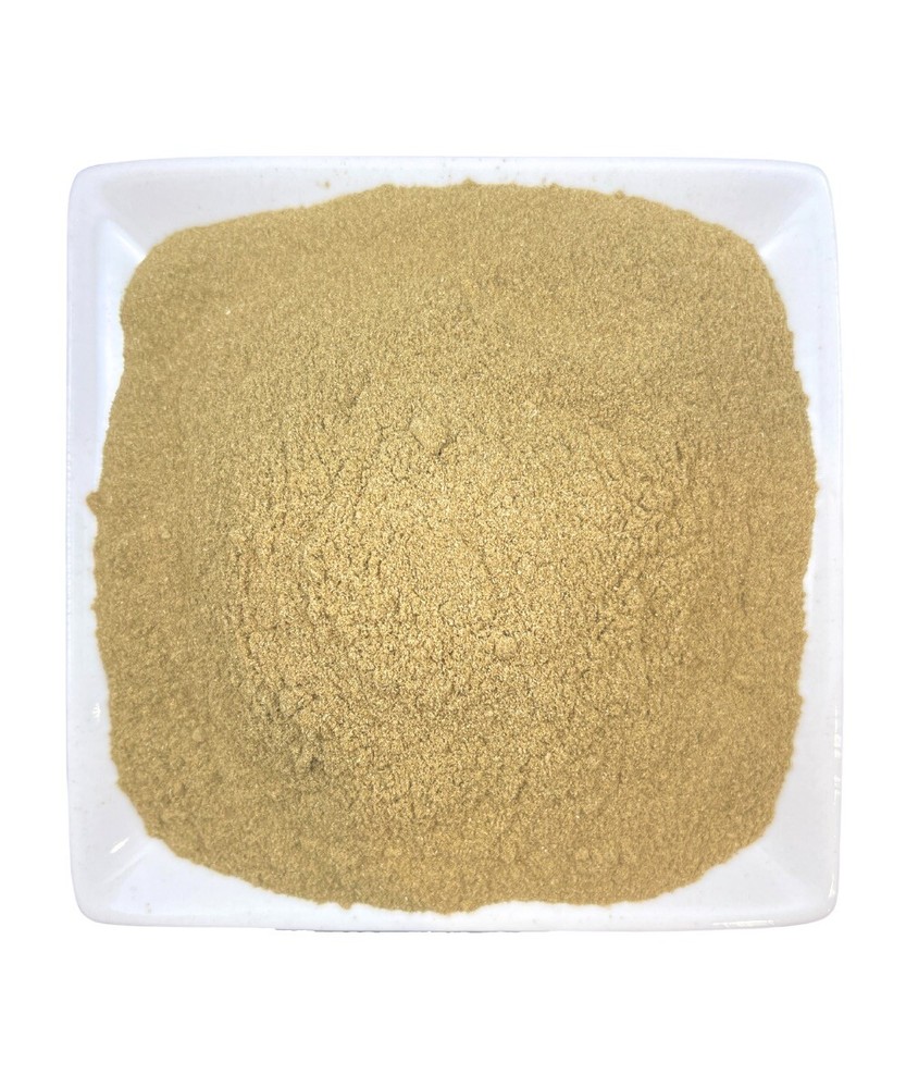Organic Brigham Tea Herb Powder (Mormon, Ceremony, Religious, Horsetail) #1 USA