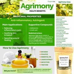 Organic AGRIMONY HERB / Sticklewort Wild Harvested Cut Dried Agrimonia Eupatoria