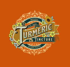 Turmeric Extract Curcumin EASY Liquid Drops Turmeric Extract – Made in USA