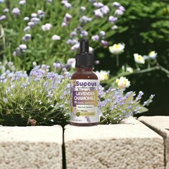 Lavender & Chamomile Tincture – Calming and Relaxing (Alcohol Free)