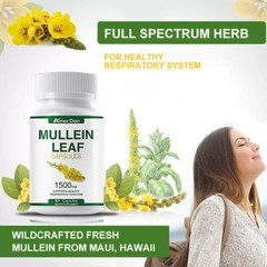 100% Natural Mullein Leaf Capsules Extra Strength Detox Cleanse Lung Health 60pc