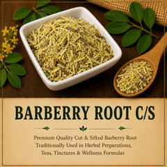 Wild Crafted Barberry Root C/S (Berberis vulgaris) Premium Cut & Sifted Herbal