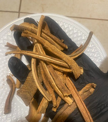 Lovage Root Dried ( Levisticum officinale ) 100/200/400g organic from Carpathian