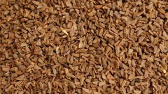 Peganum seeds Harmal – harmala – rue ISBAND ISPAND ASPAND – FREE & FAST SHIPPING