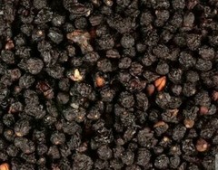 Elderberries whole dried Sambucus nigra wildcrafted choose 1 oz – 1 lb free ship