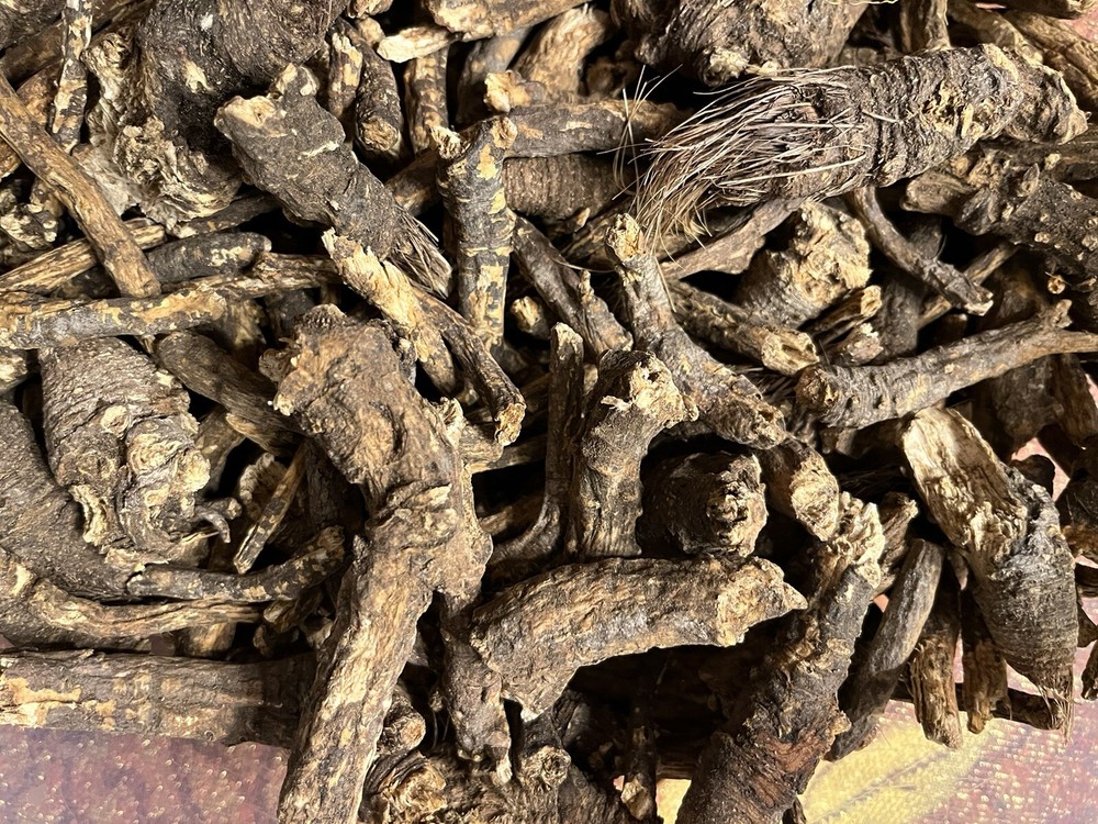 Osha Roots ( Ligusticum porteri )