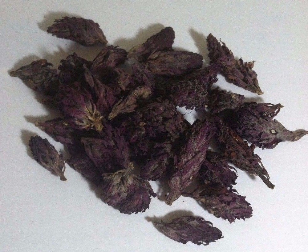 2 Lb. Indian Warrior Flowers (Pedicularis Densiflora) Wildharvested USA