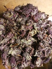 Indian Warrior Buds Flowers Pedicularis Densiflora 4g Wildcrafted In Oregon 26