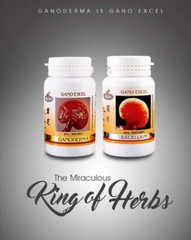 Gano Excel Ganoderma Lucidum(Lingzhi) + Excellium(Mycellium) x 3 sets