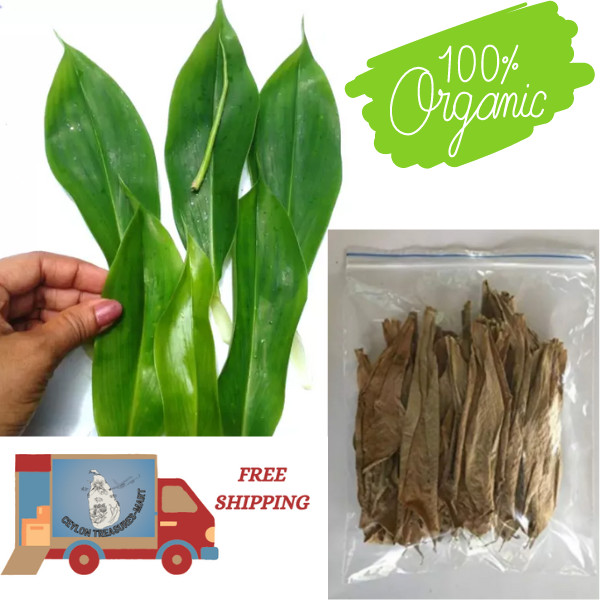 50 Dried Leaves Insulin Plant (Costus Igneus) Organic Thebu Tea Natural Ceylon