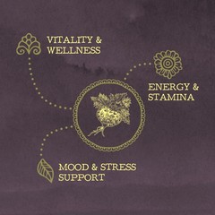 Organic Maca Root Powder – 8g Adaptogenic Superfood for Energy, Mood & Balance –
