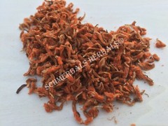 Klip Dagga, Leonotis nepetifolia, 1 oz All Natural Petals ~ Schmerbals Herbals