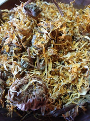 Calendula Flowers (Calendula officinalis) Whole flowers & petals, Organic 1 oz