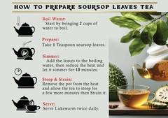 Soursop Leaves Dried Natural Graviola Herbal Organic Tea Premium Whole Leaves+++