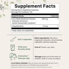 Daily Cognitive Support: 240 Lion’s Mane Extract Capsules with L-Ergothioneine