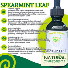 Spearmint Leaf Tincture Organic Liquid Herbal Drops Calm Mental Clarity Aid 2oz