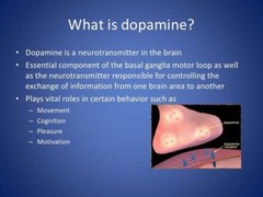 Macuna Dopa – L-DOPA MUCUNA EXTRACT 99% – mood support for women – 3 Bottles