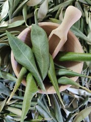 Greek Natural Olive Leaves Loose Herb Tea (Dried) 25gr-2kg Olea Europaea