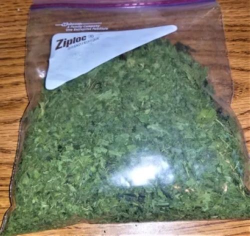 Stinging Nettle Leaf Wild Crafted Cut ~ Freshly Packed USA Free Ship