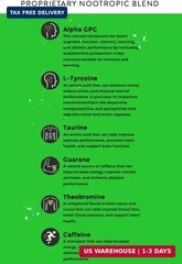 Fully Loaded Alpha Fuel Nootropic Pouches (Wintergreen Fuel) – Nootropic Energy