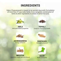 Dabur Chyawanprash 500 gms Fast SHIP