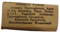 NOS Boneset Lvs. & Tops Eupatorium Perfoliatum 5884 N.F. Allaire-Woodward & CO