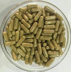 Ganoderma Lucidum Extract 10:1 Capsules (Reishi Mushroom) Antioxidant