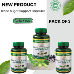 Blood Sugar Support Capsules – 3 Pack, Natural Supplement
