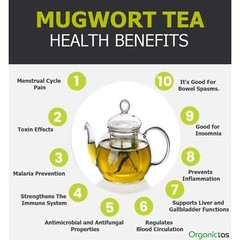 Mugwort Organic Dried Cut Wildcrafted Artemisia Vulgaris 100 % Premium Quality