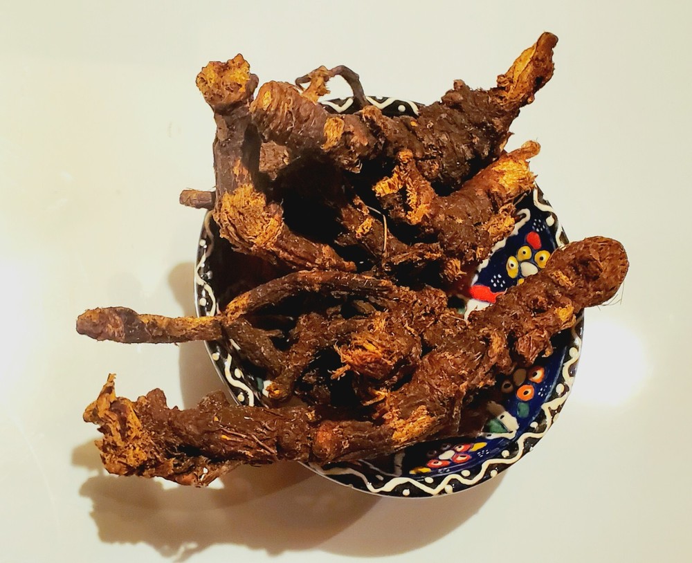 1 oz OSHA ROOT Whole Herb (Ligusticum porteri) Potent Aromatic Medicinal Herb