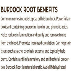 BURDOCK ROOT The Freshest It Can Be Ever Fresh Powder Ground 100 V Capsules